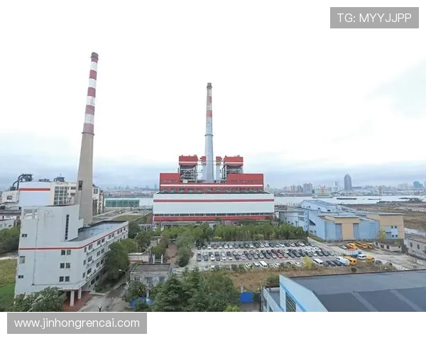 迪尼批评伯明翰新球场设计：烟囱设计太丑了，像个火力发电厂